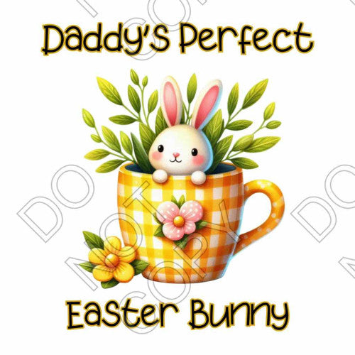 DTF Transfer - Perfect Easter Bunny (Boy Bunny) (Two Variants)