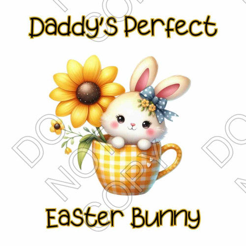 DTF Transfer - Perfect Easter Bunny (Girl Bunny) (Two Variants)