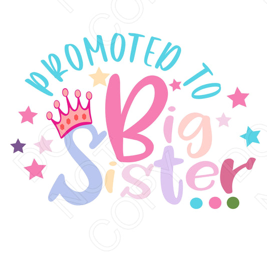 DTF Transfer - Promoted to Big Sister/Little Sister