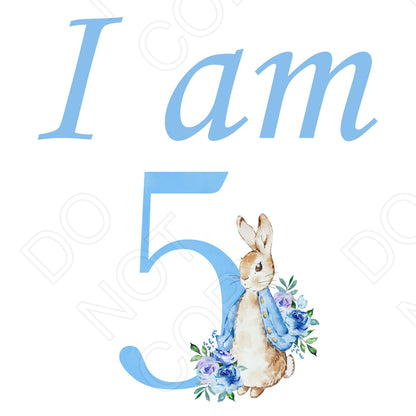 DTF Transfer - I Am (Blue Rabbit)