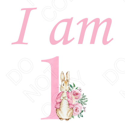 DTF Transfer - I Am (Pink Rabbit)