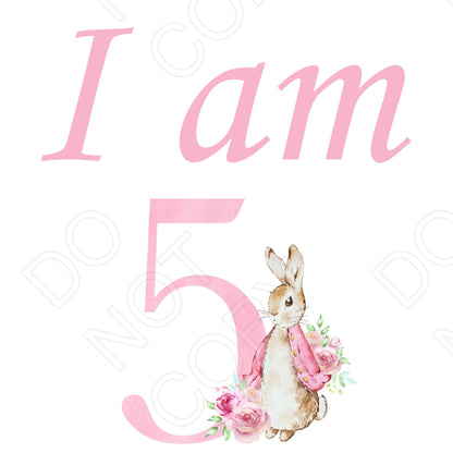 DTF Transfer - I Am (Pink Rabbit)