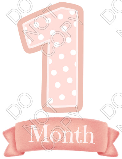 UV-DTF Transfer - 12pk Milestone Set Transfers - Pink Banner