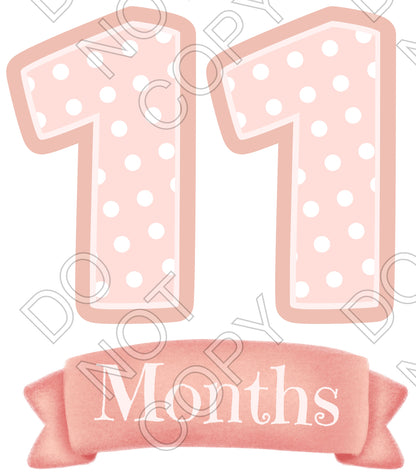 UV-DTF Transfer - 12pk Milestone Set Transfers - Pink Banner