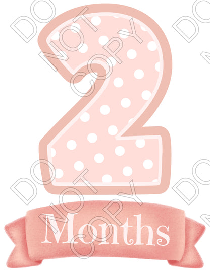 UV-DTF Transfer - 12pk Milestone Set Transfers - Pink Banner