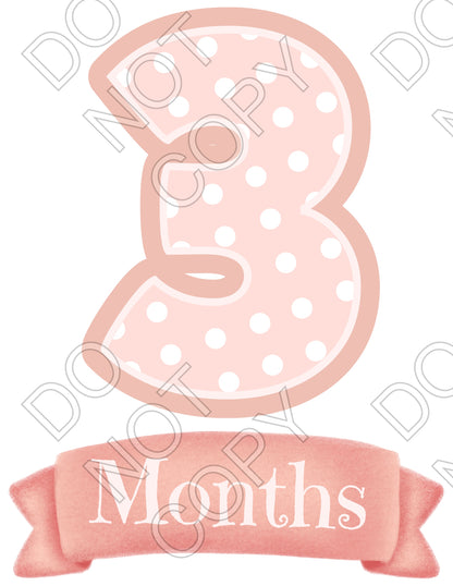 UV-DTF Transfer - 12pk Milestone Set Transfers - Pink Banner