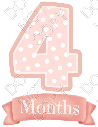 UV-DTF Transfer - 12pk Milestone Set Transfers - Pink Banner