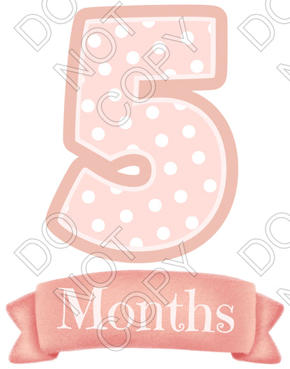 UV-DTF Transfer - 12pk Milestone Set Transfers - Pink Banner