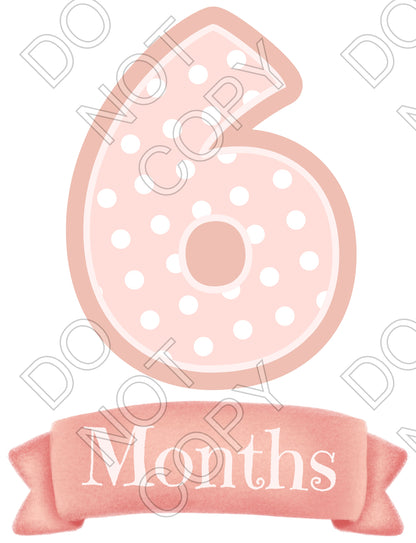 UV-DTF Transfer - 12pk Milestone Set Transfers - Pink Banner