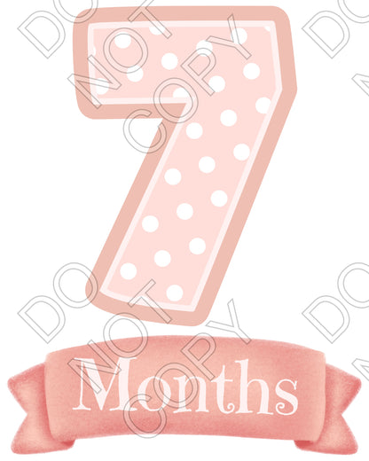 UV-DTF Transfer - 12pk Milestone Set Transfers - Pink Banner