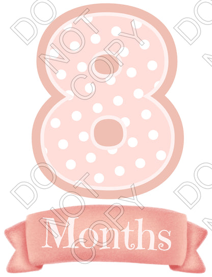 UV-DTF Transfer - 12pk Milestone Set Transfers - Pink Banner