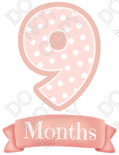 UV-DTF Transfer - 12pk Milestone Set Transfers - Pink Banner