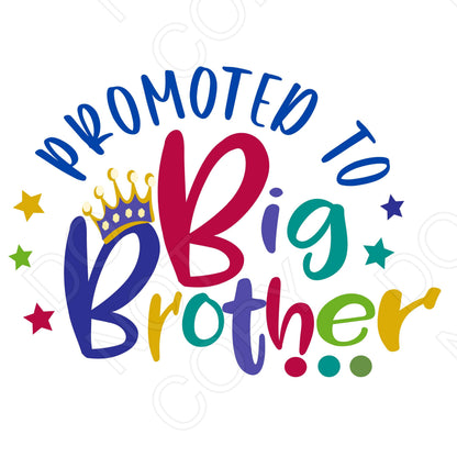 DTF Transfer - Promoted to Big Brother/Little Brother