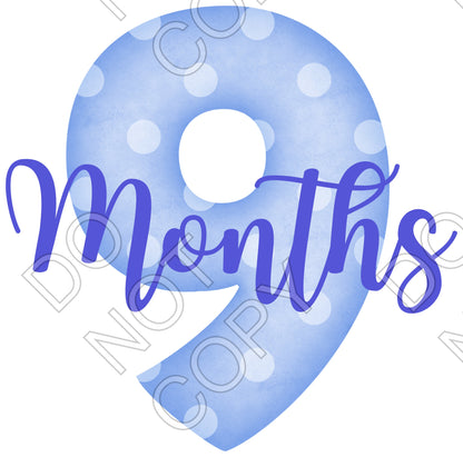 UV-DTF Transfer - 12pk Milestone Set Transfers - Blue Spots