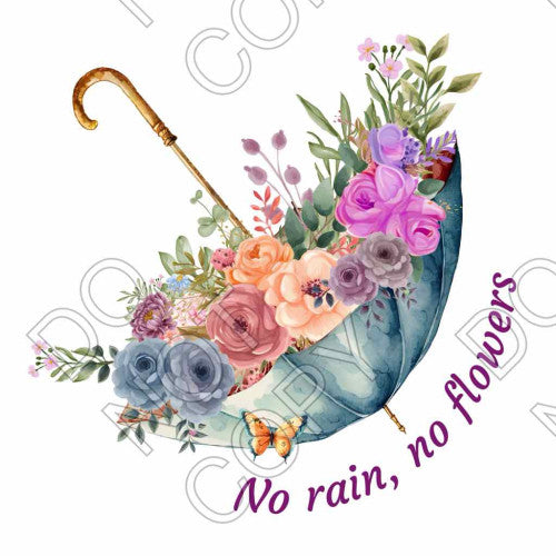 DTF Transfer - No Rain, No Flowers