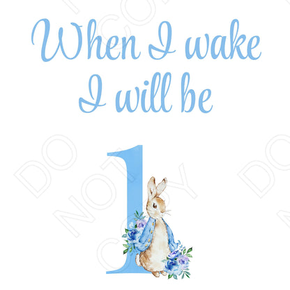 DTF Transfer - When I Wake (Blue Rabbit)